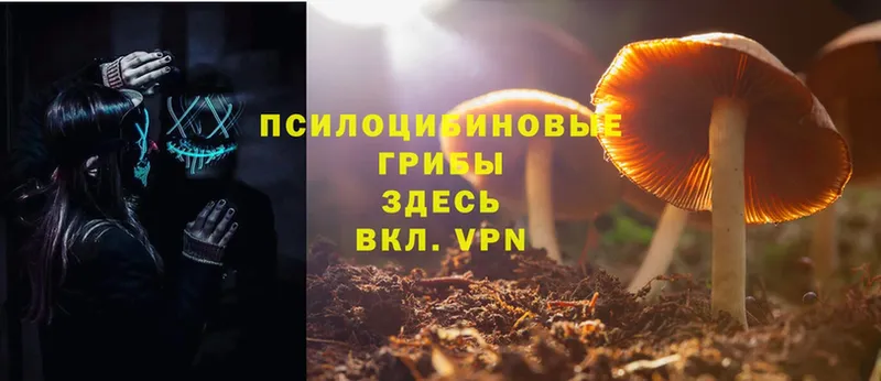 даркнет сайт  Семикаракорск  Галлюциногенные грибы Magic Shrooms 